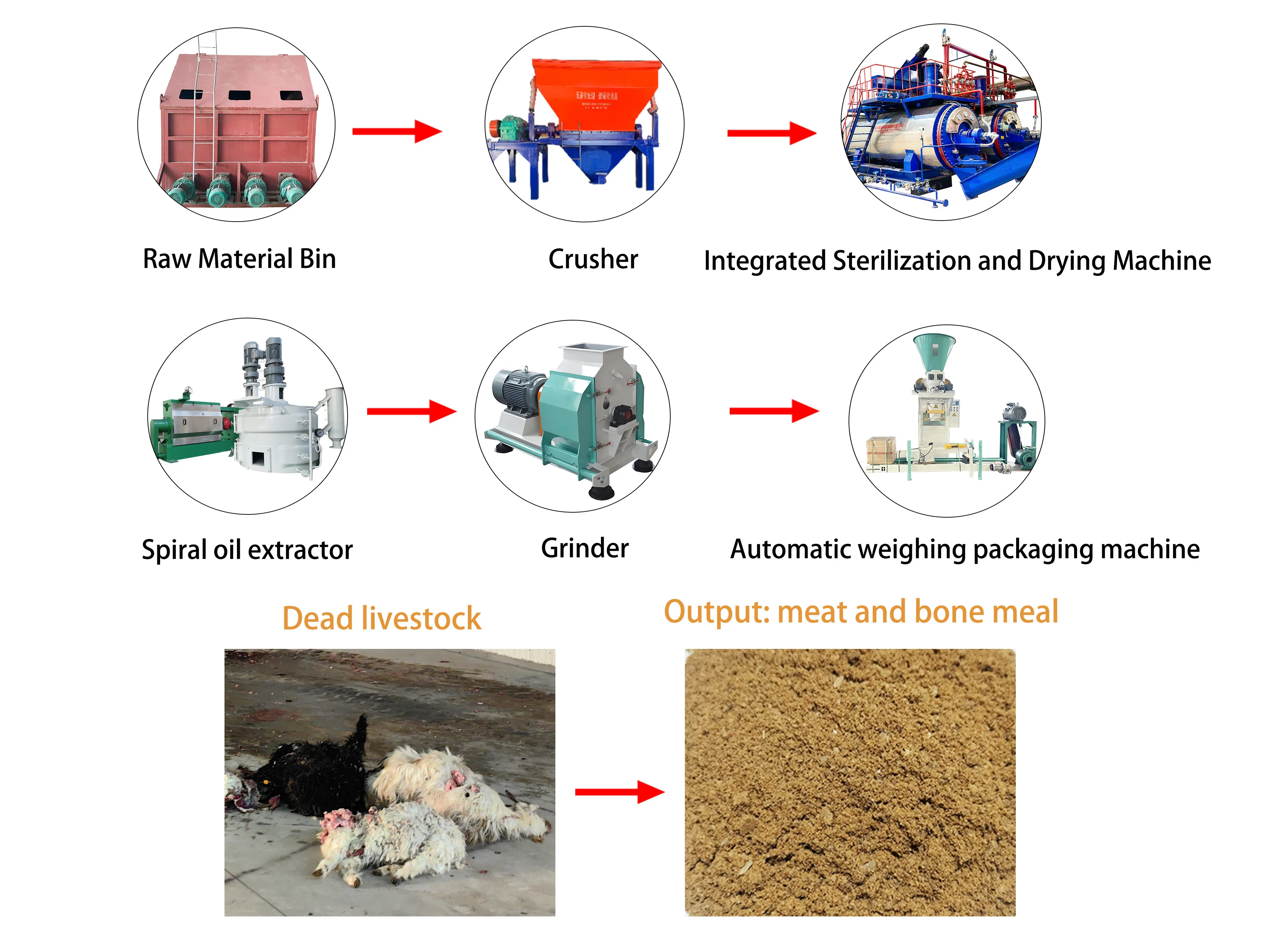 3 Tons Poultry Waste Rendering Plant Produces Feather Meal for Animal & Pet  Feed