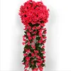 Red big four petals
