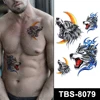 TBS-8079    TBS-8079