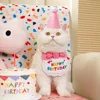 Set compleanno rosa A07d