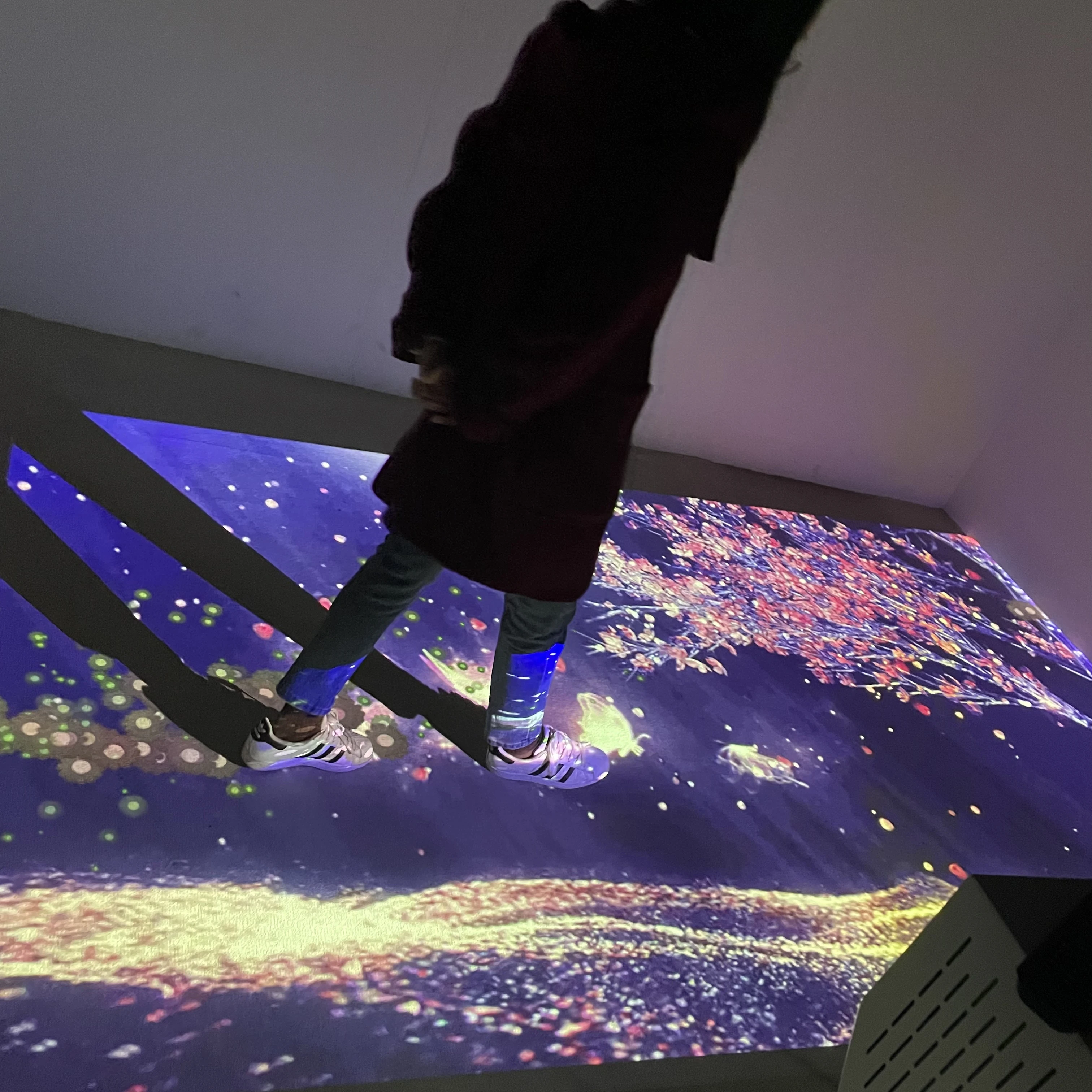 Immersion Interactive Theme Park Magic Interactive Projection Games Interactive Projector Game