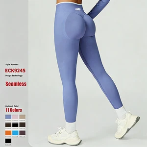 Professional Compression Seamless High Waist Butt Lift Tummy Control Quick Dry Gym Running Sports Yoga Leggings Women