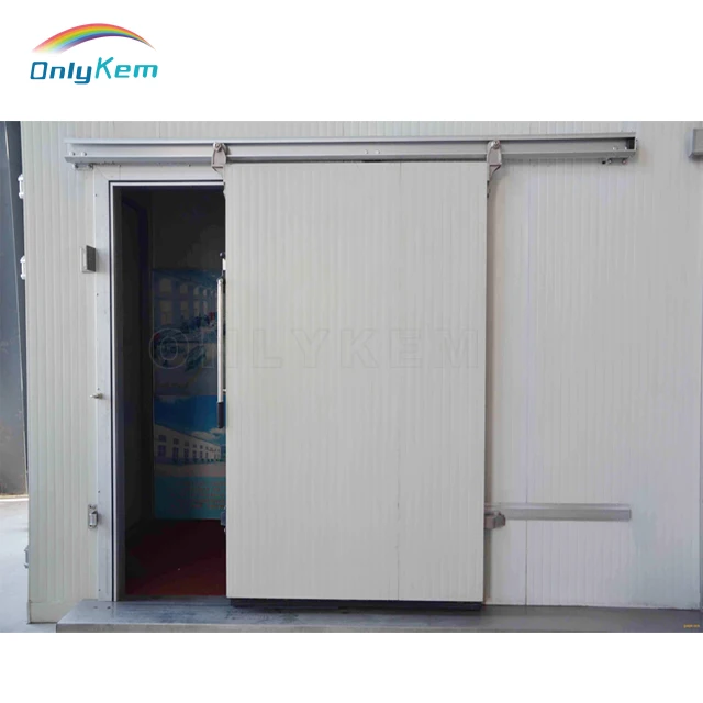 Cold Room Door for Cold Room Service Door Hinged Door for Walk-in Freezer Sliding Hinged Door Cold Room Cold Storage