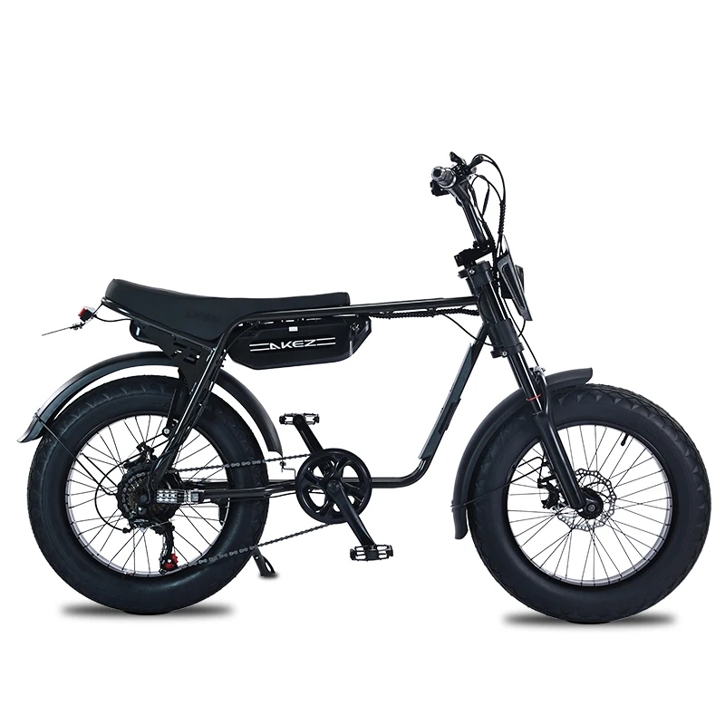 ZX 20*4.0 Inch Fat Tires Snow E-Bike 48V 1500W for 2 People