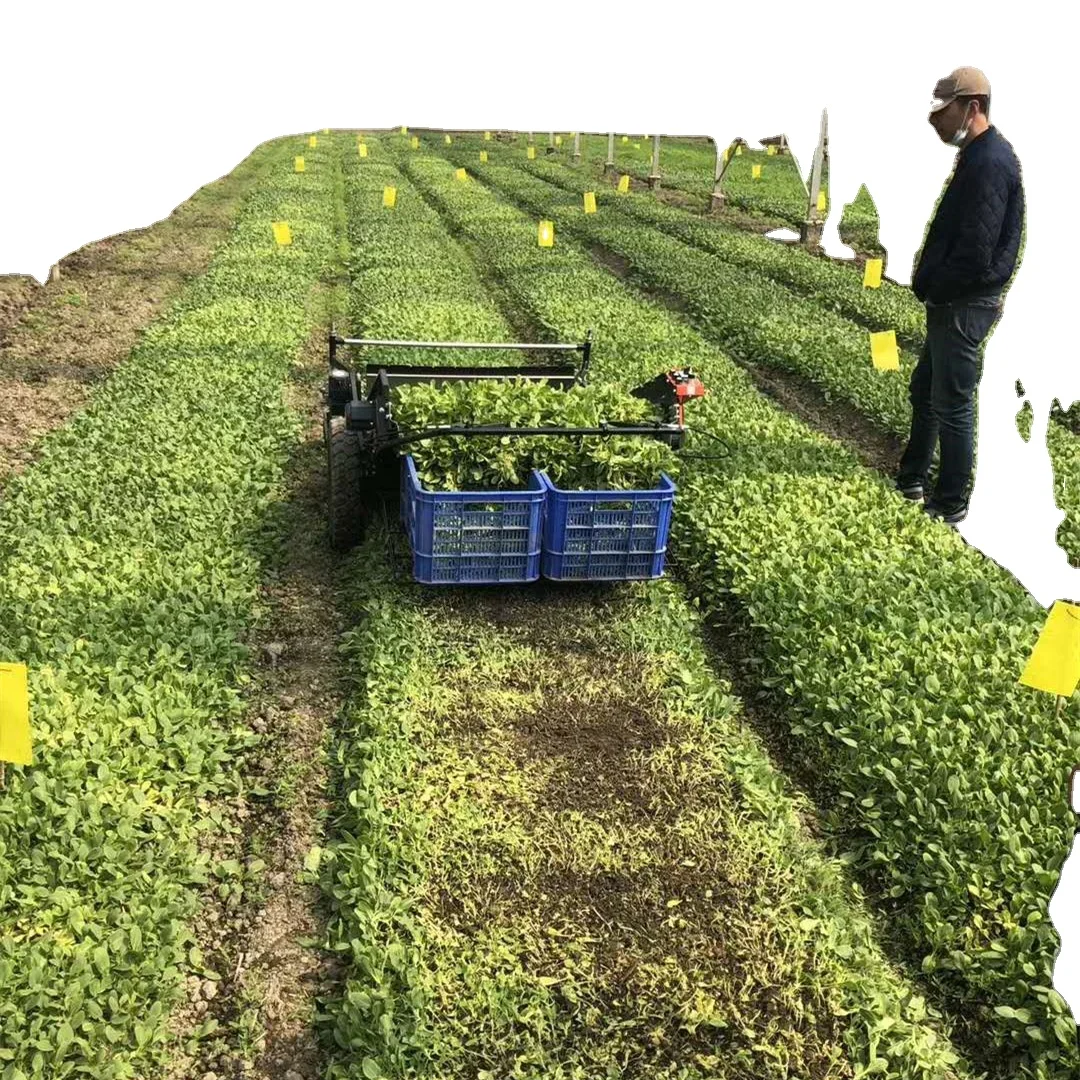 Self-propelled Vegetable Cutting Harvesting Machine Lettuce Harvester Leaf Vegetable Harvester