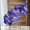 Orchid Purple