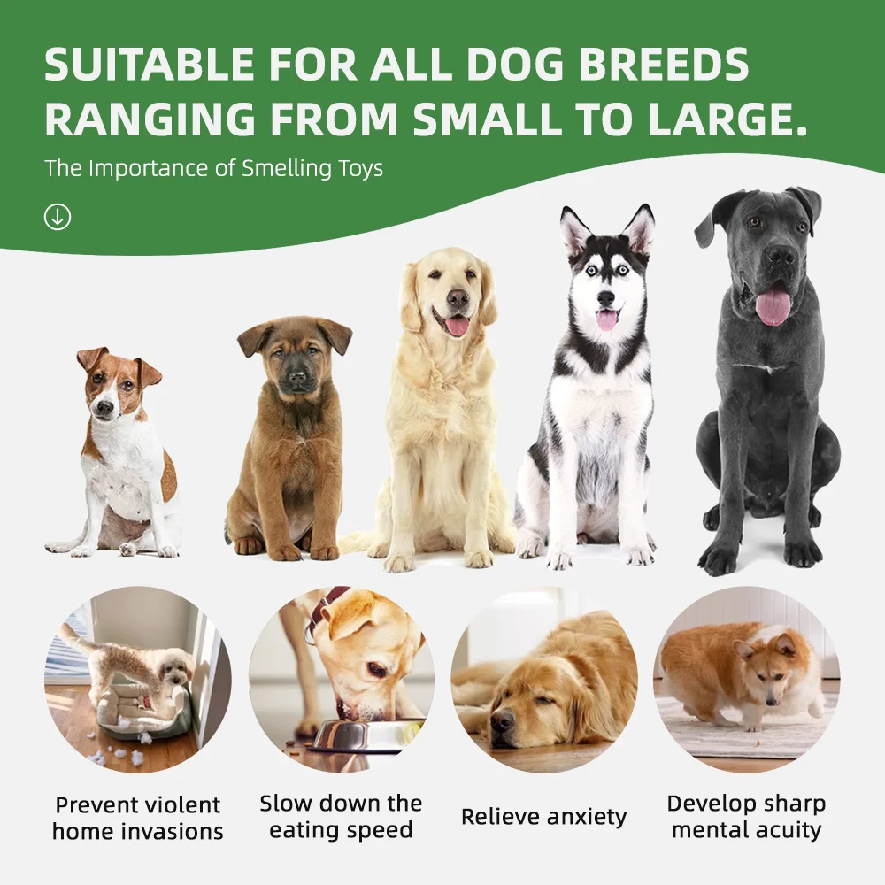 Wholesale Slow Feeding Pet Sniffing Mat Indoor Foraging Dogs Snuffle M - product detail 5