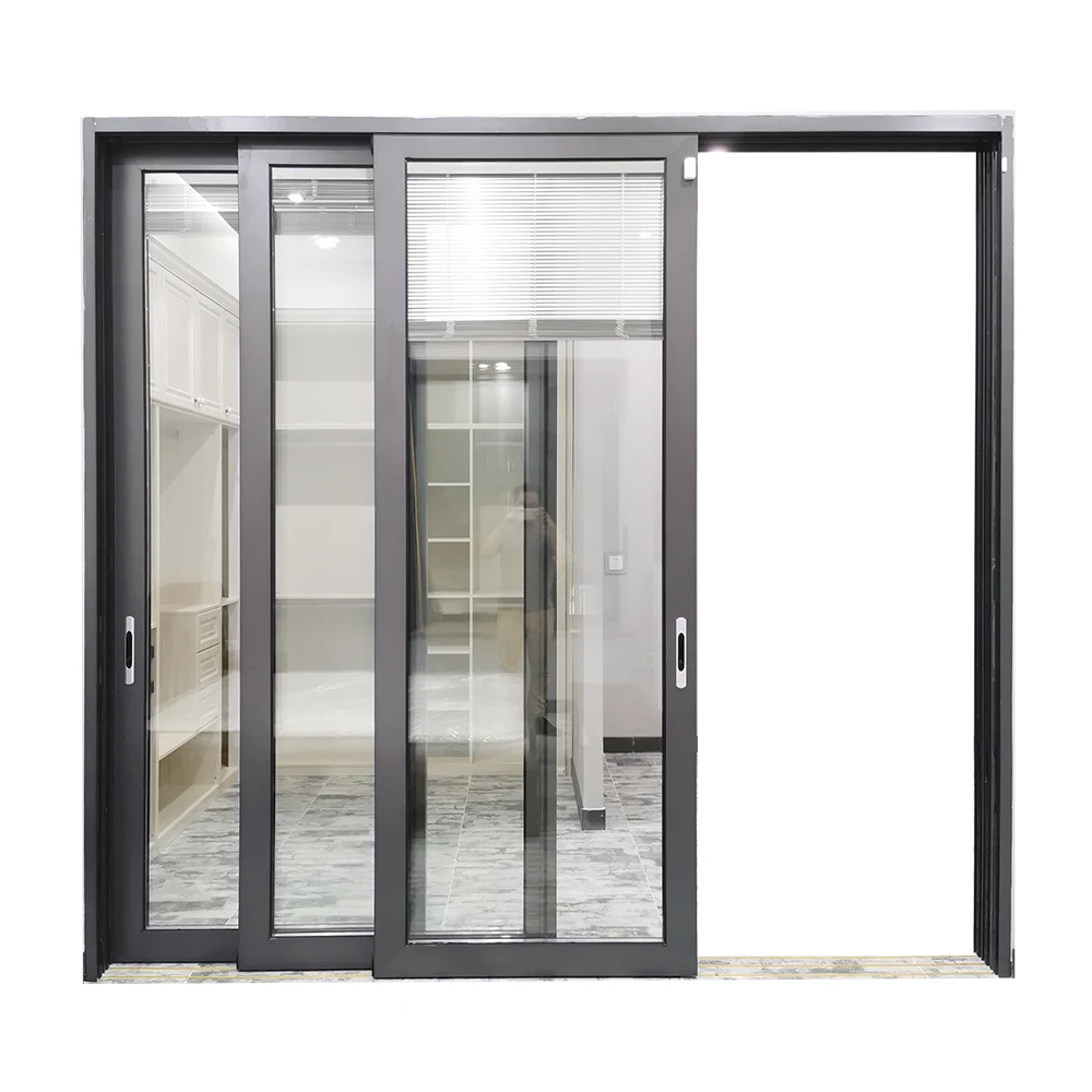 Modern Design Sliding Door for Living Room