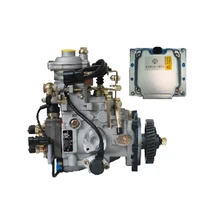 WEIFU VE Pump, Electric Control Fuel Pump, Factory Outlets