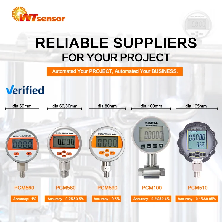 WTsensor 0.5% 1% Accuracy Low Price China Factory  Water Gas Liquid Oil Digital Pressure Gauge Digital