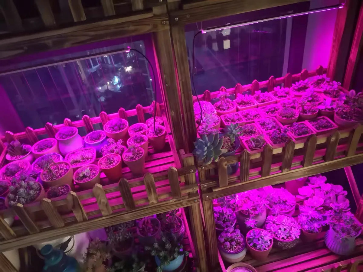 Remote Control Timingsolar Powered Grow Lights Full Spectrum Solar Led