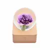 Purple Carnation