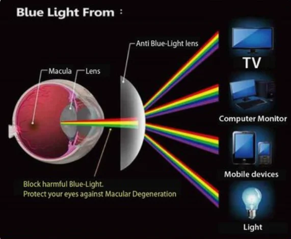 Photochromic Blue Cut Lenses Super Hydrophobic Block Anti-glare Anti Dust  Easy Clean Optical Lens