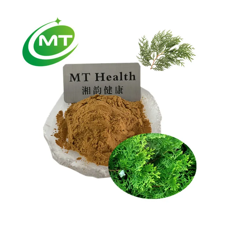 Free Sample Plant Extract Biota Grientalis Extract 10:1 High Quality Biota Grientalis Extract Thuja Orientalis Powder