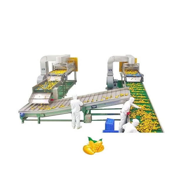 Mango processing factory line automatic mango peeling machine mango washing and grading machine