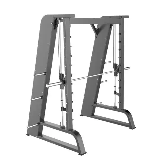 LS824 Multi Functional Gym Equipment Body Building Exercise Training Smith Squad Machine Multifunctional Smith Machine