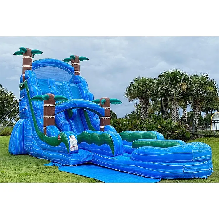 Hot Sale Large Custom Inflatable Water Slide Outdoor Inflatable Dry