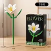 M5010-lily