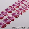 BSA-DY-0064-2