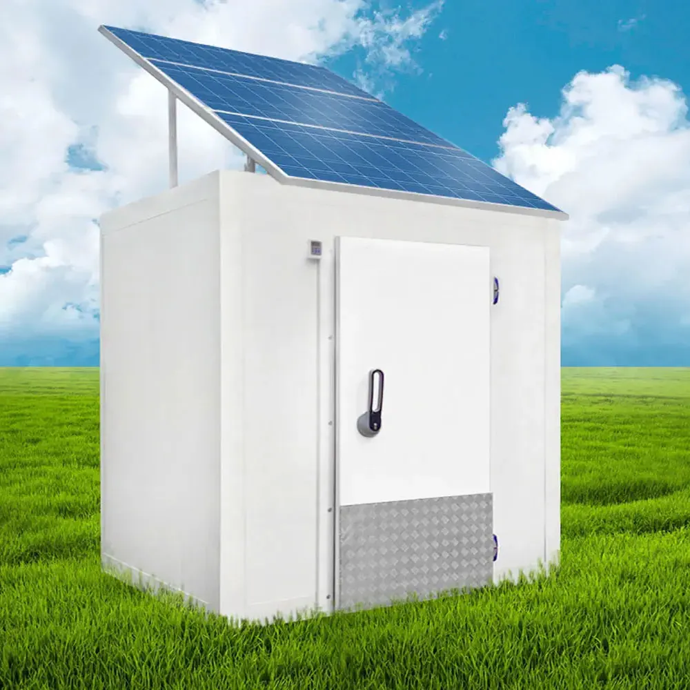 20ft 40ft Solar Powered Cold Storage Container Refrigeration Unit Price ...