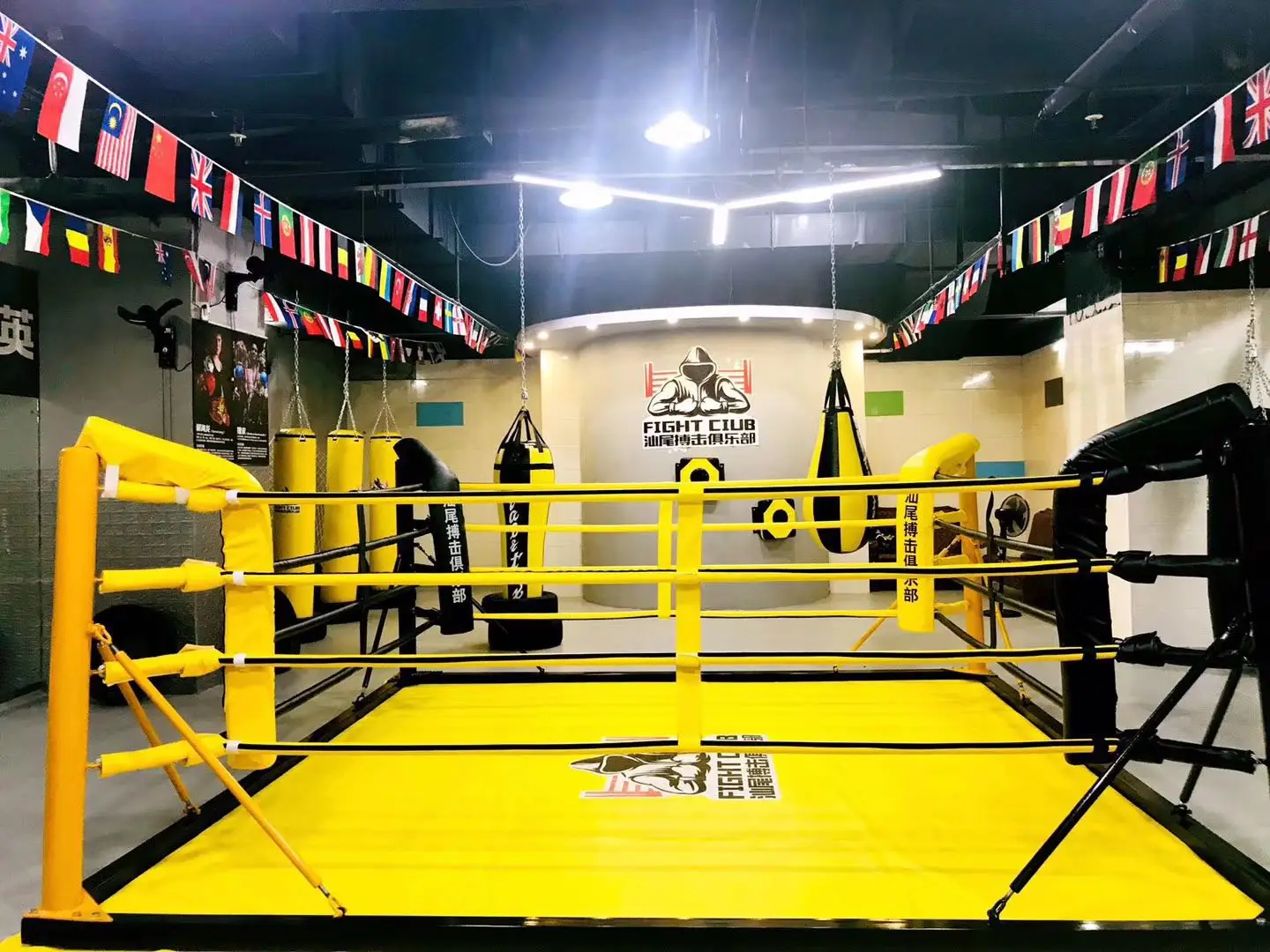 Professional Boxing Training Gym Durable Customizable