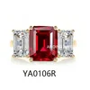 YA 0106R