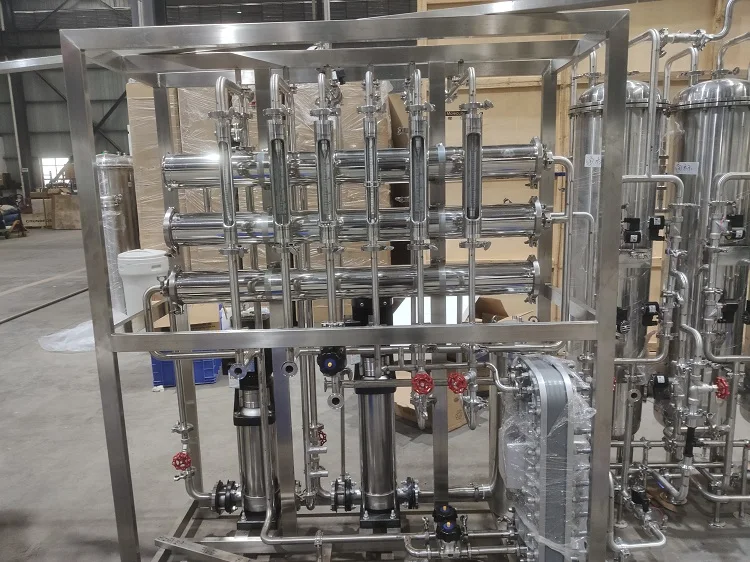 Produzione di acqua 0,25 m3/h Sistema di acqua ultrapura deionizzata EDI per laboratorio 1