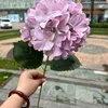 Purple pink