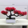 54# Beauty Pine Big Red (12 rectangulares blancos)