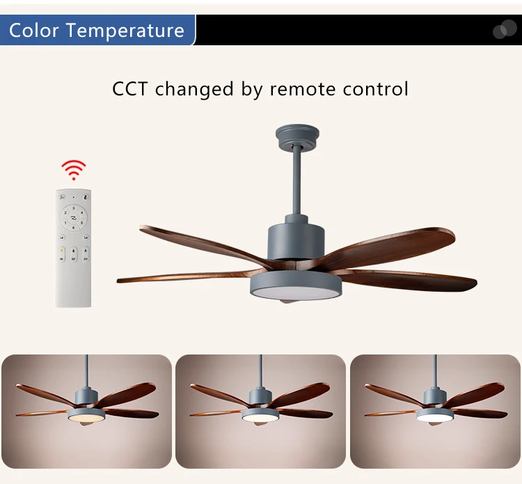 Ceiling Fan, 110-220V, DC35w - detail 6