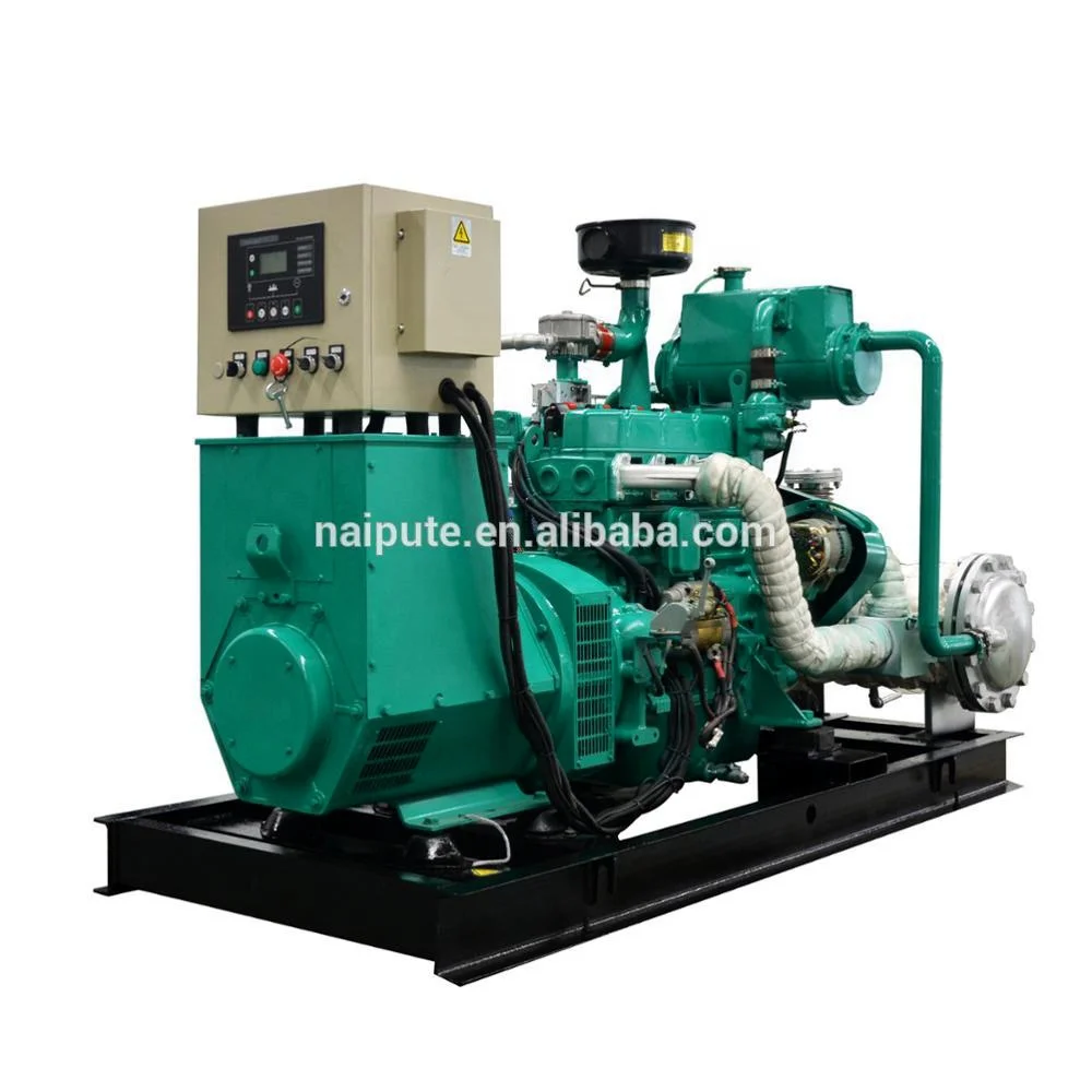CE Approved 50kw Generator Biogas Gas Genset Price
