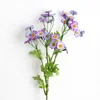 Viola chiaro