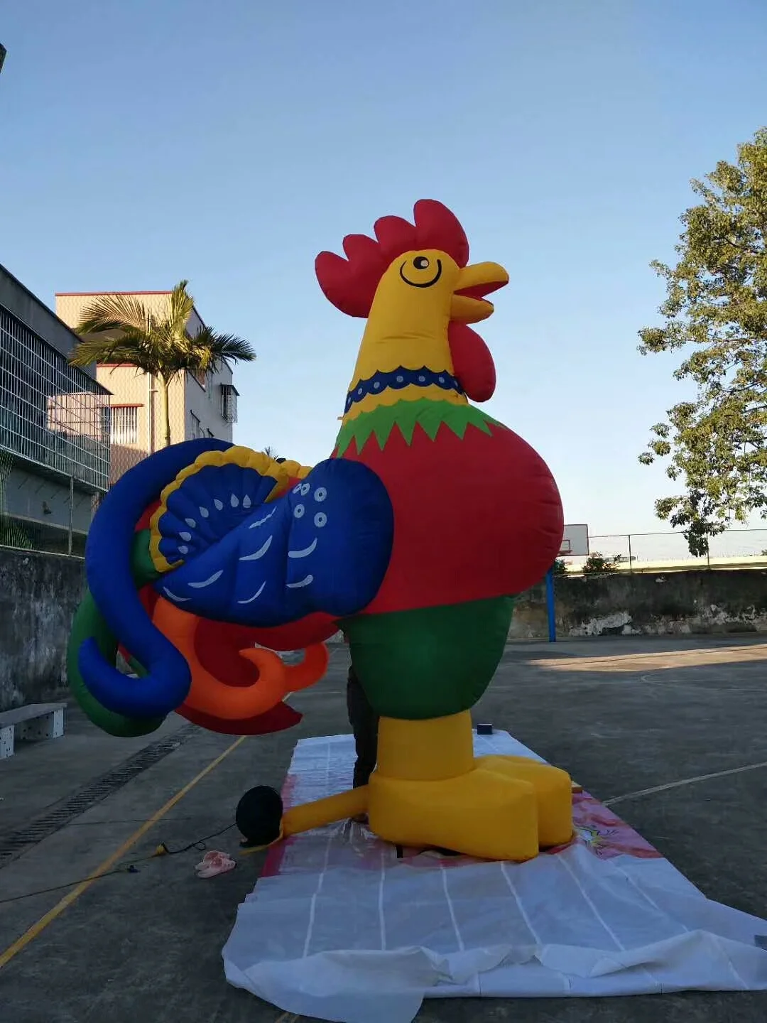Plastic Inflatable Chicken Alibaba.com: Giant Oxford Material Inflatable Chicken, Large Cartoon ...