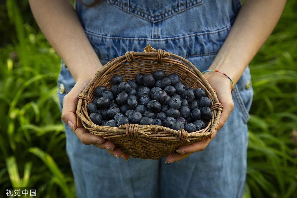 Freeze Dried Blueberry Bulk Supply | Wholesale Manufacturer H6e6108570fed405f95c23b5b0794306fP