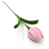 Pink Tulip