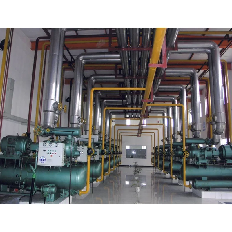 Logistics Food Freezer Cold Storage Walk in Cooler and Freezer Quick Freezer Large Cold Storage Logistics Posit Cold Room