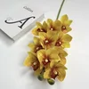 Giallo
