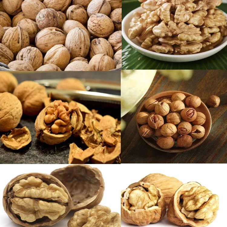 High Quality Walnut Kernel Peeling Machine Pecan Nut Cracker Walnut Cracking Machine