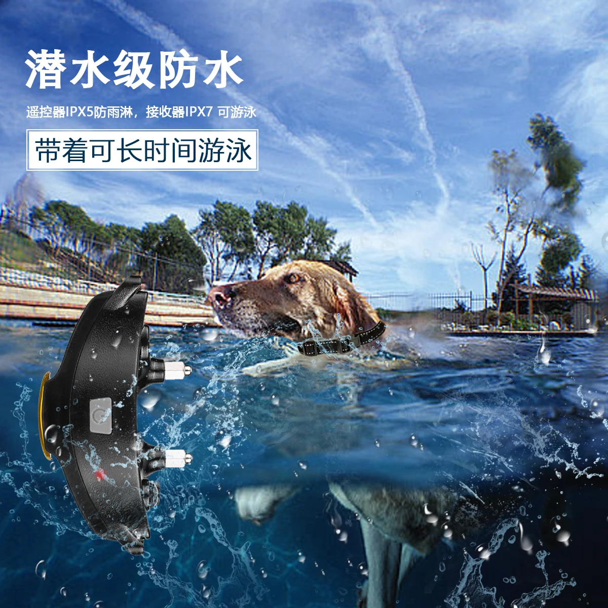 Patpet patend проект собаку ошейник