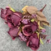Rosa autunnale