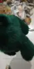 dark green colour