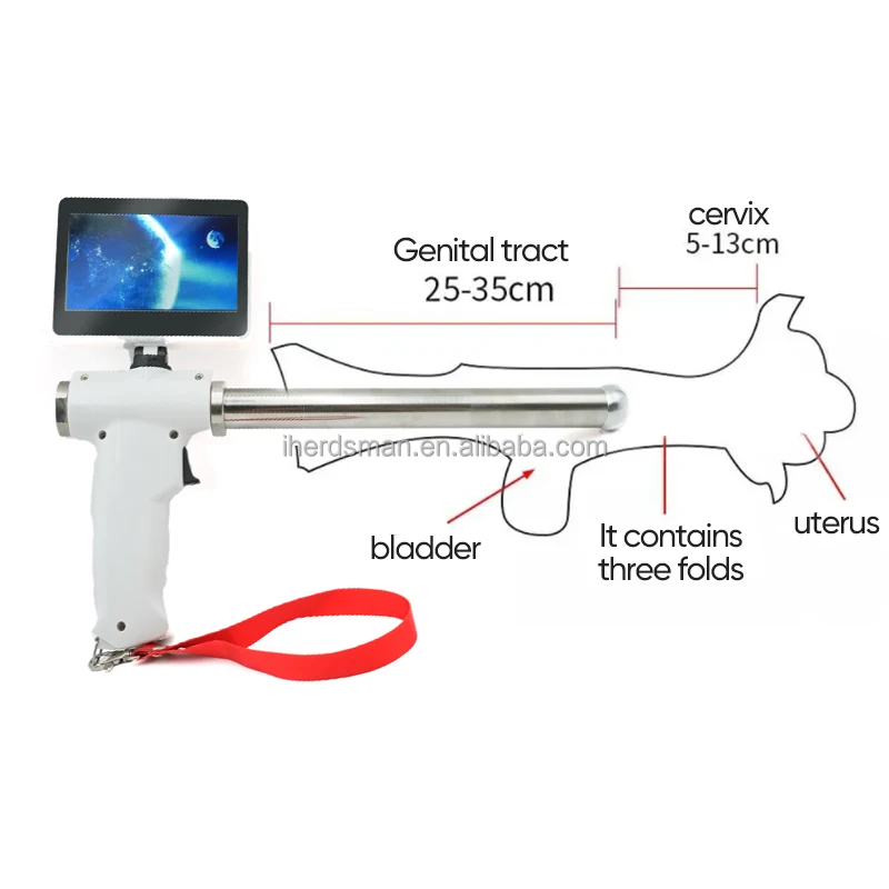 Veterinary Insemination Equipment Artificial Insemination Kit for Cow ...