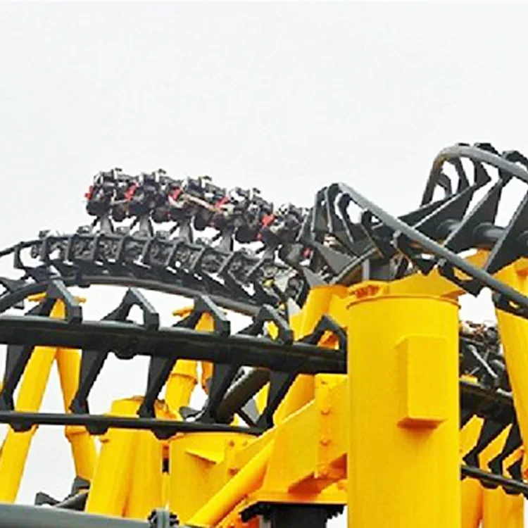 Suspended Roller Coaster Theme Park Other Amusement Park Rides