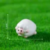 little sheep