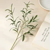 Bu Nan 4 Forks Olive No Fruit 71cm