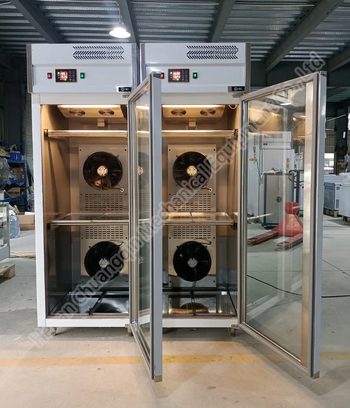 Thawing Equipment, 220V-240V, Stainless Steel - detail 8