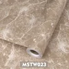 MSTW023