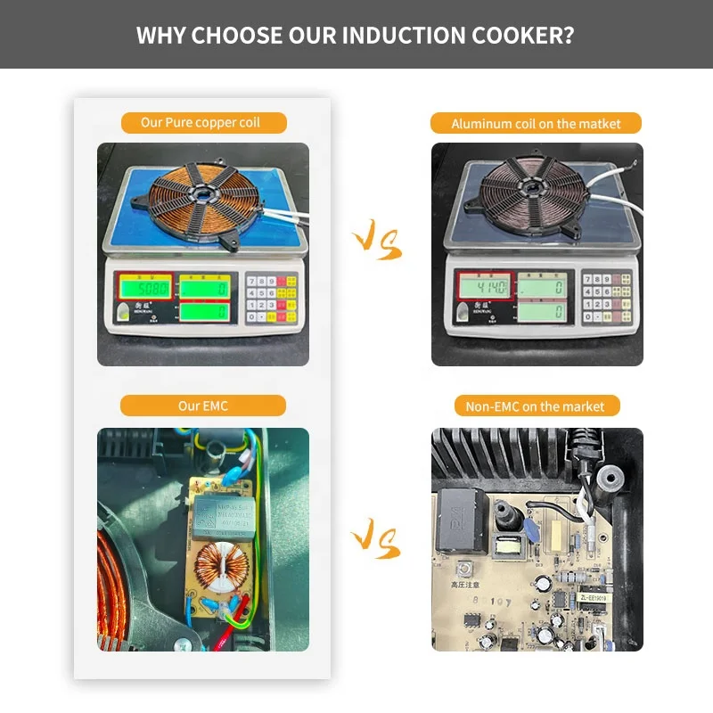 Customized 3100W Induction Plate Built-in Cooktop 2 Electric Stove Induction Hob Double Induction Cooker