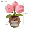 ทิวลิป2