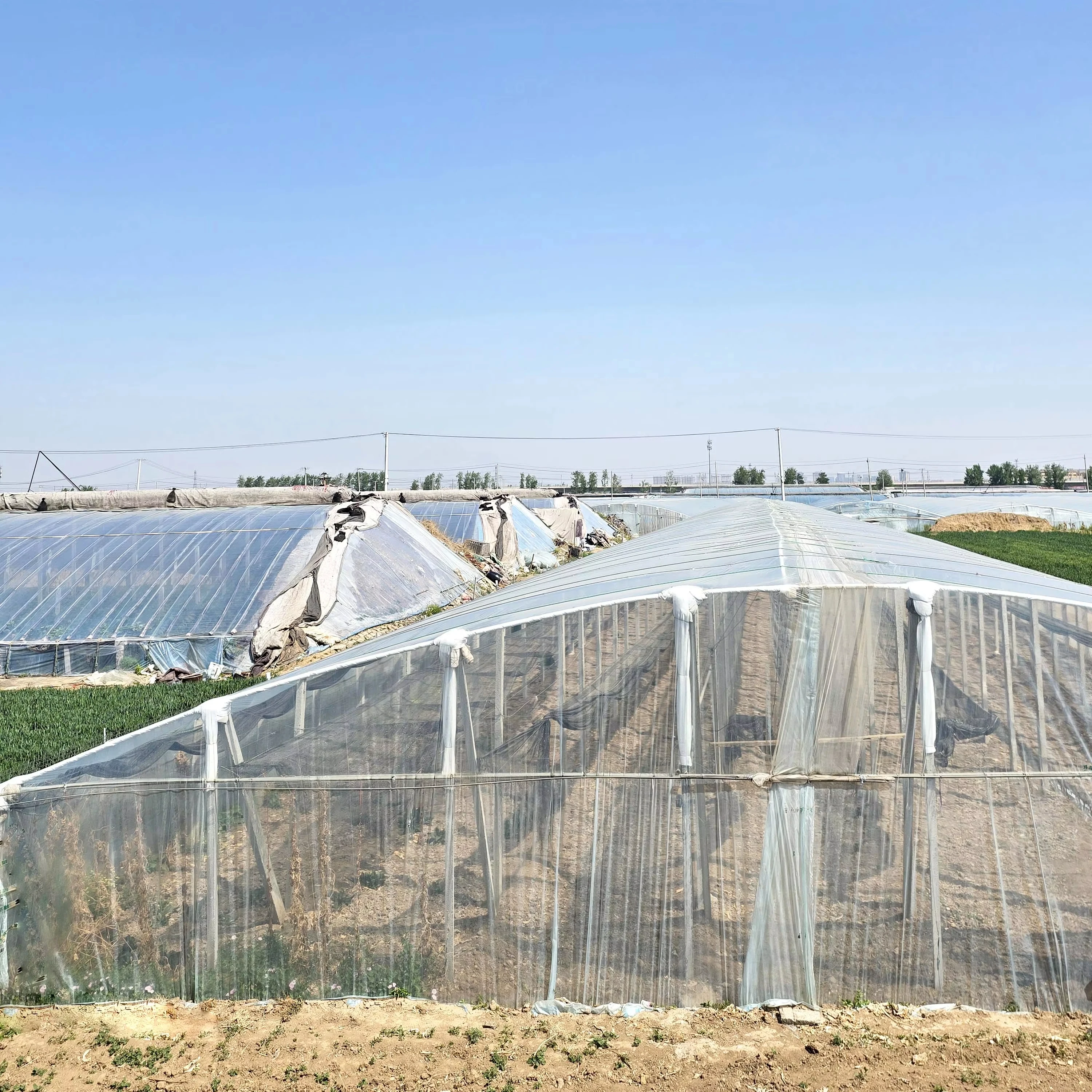 Custom Sized UV Resistant Agriculture Tunnel Greenhouse Film, Heavy Duty Anti-Drip Anti-Fog Polyethylene Plastic Sheeting Cover, 100-200 Micron Clear PE Film for Vegetables Fruits Cultivation, Factory Direct Bulk Supply
